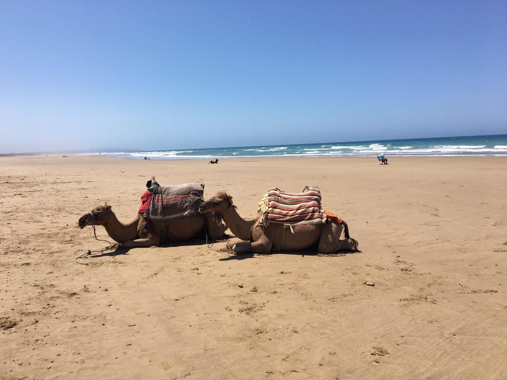 Appartement De Luxe Chez Hicham Asilah Luaran gambar